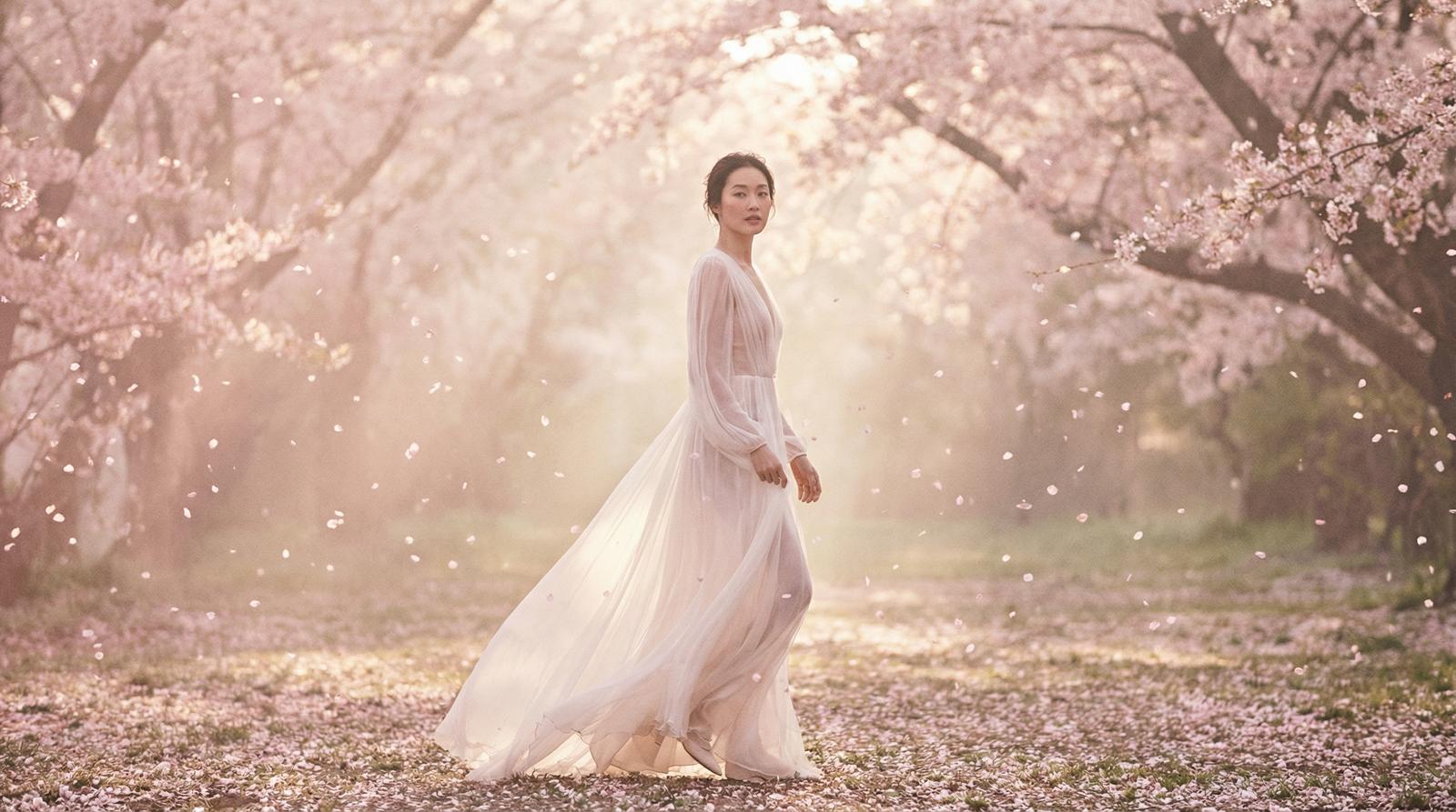 玩物社区樱花季唯美视频